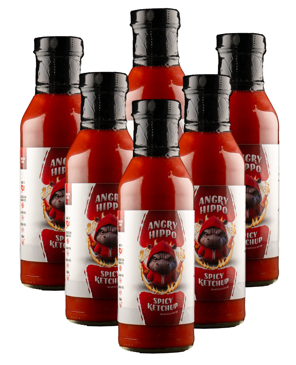 6 Pack Gourmet Spicy Ketchup
